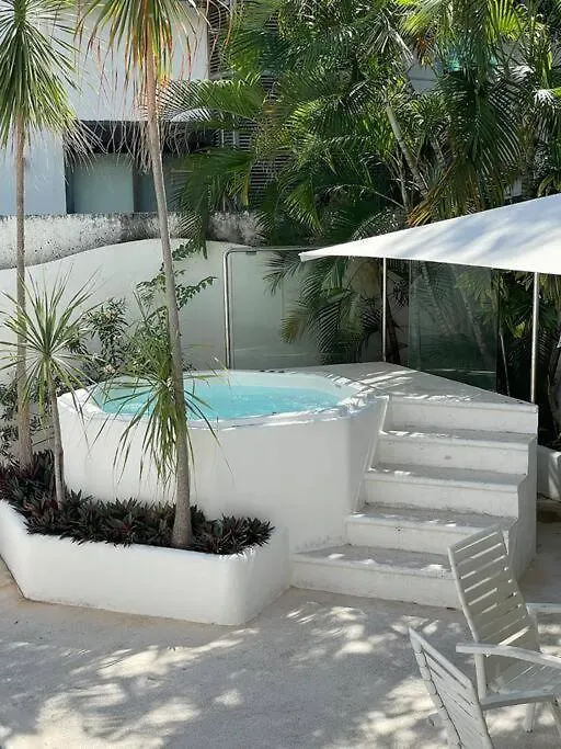 Suites Amplias En Quinta Avenida Playa del Carmen 0*,  Meksyk