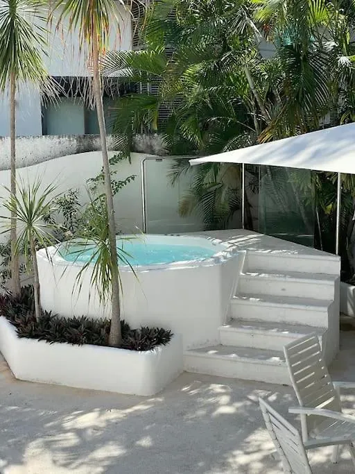Suites Amplias En Quinta Avenida Playa del Carmen Meksyk